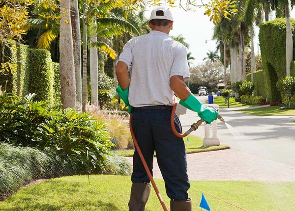 About Wallace ID Pest Control